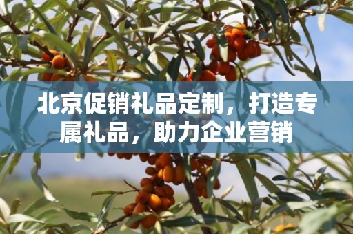 北京促销礼品定制，打造专属礼品，助力企业营销